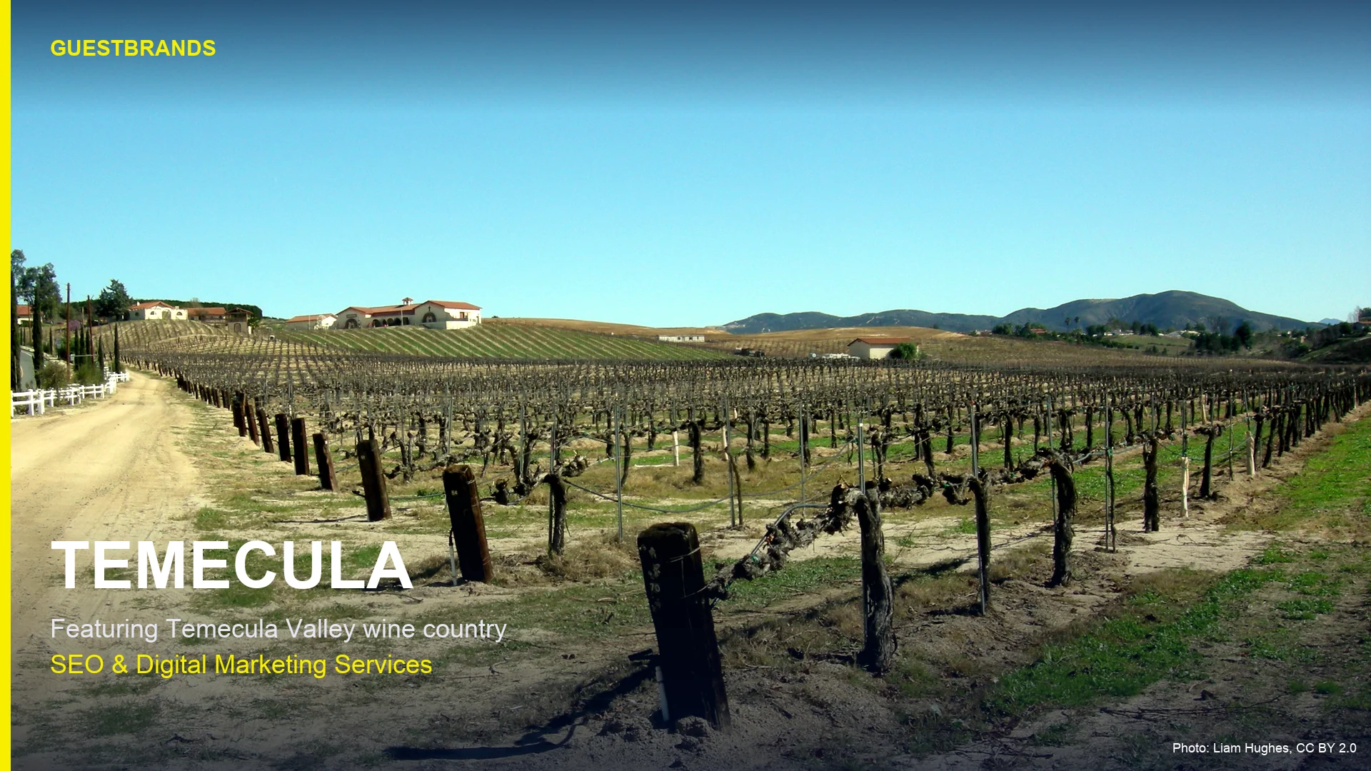 Temecula Valley wine country vineyards, GuestBrands SEO and digital marketing services